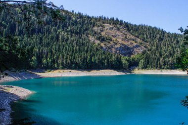Karadağ'daki Durmitor milli parkının cennet manzarası. Gölün turkuaz suyu, çam ormanı ve dağlar. Doğa ile çarpıcı arka plan.