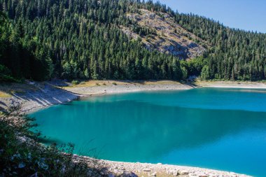 Karadağ'daki Durmitor milli parkının cennet manzarası. Gölün turkuaz suyu, çam ormanı ve dağlar. Doğa ile çarpıcı arka plan.