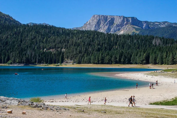 Durmitor Montenegro Agosto 2017 Vista Paradisiaca Del Parco Nazionale Durmitor — Foto Stock