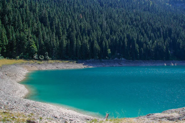 Paradise Views National Park Durmitor Montenegro Turquoise Water Lake Pine — Stock Photo, Image