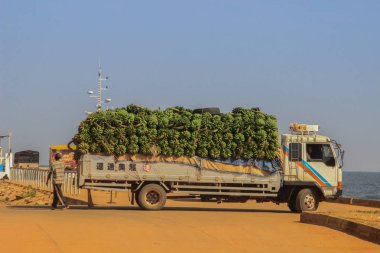 Kampala, Uganda - 3 Şubat 2015: Jinja limanında bir kamyonda muz nakli.