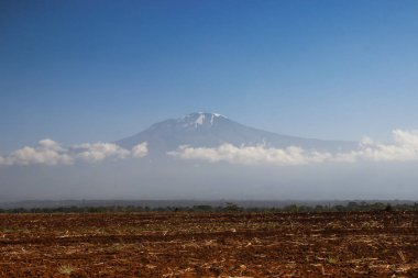 Bulutlardaki ünlü Kilimanjaro volkanı. Afrika 'nın en yüksek noktası Kenya ve Tanzanya sınırındadır. Dağda eriyen buz ve iklim değişikliği.