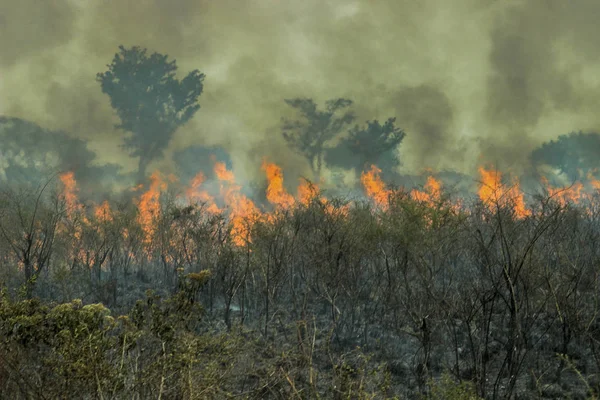 Incendios Selva Amazónica Cambio Climático Global Bosque Lluvioso Ardiente —  Fotos de Stock