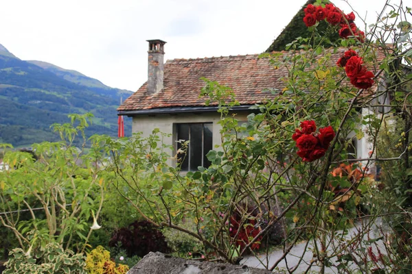 Beautiful fabulous European houses in Switzerland surrounded by a garden and bushes with flowers