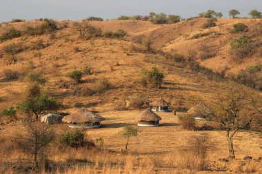 Uganda 'da, kulübelerin ve sazdan çatılardan yapılmış, geleneksel bir Afrika köyü..