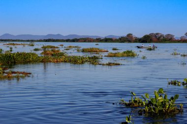 Amazon, Brezilya - 12 Temmuz 2019: Ünlü Amazon Nehri dünyanın en derindir. Brezilya 'nın inanılmaz doğası. Sakin mavi sular, nehir boyunca geleneksel Hint köyleri ve balıkçı teknesi..