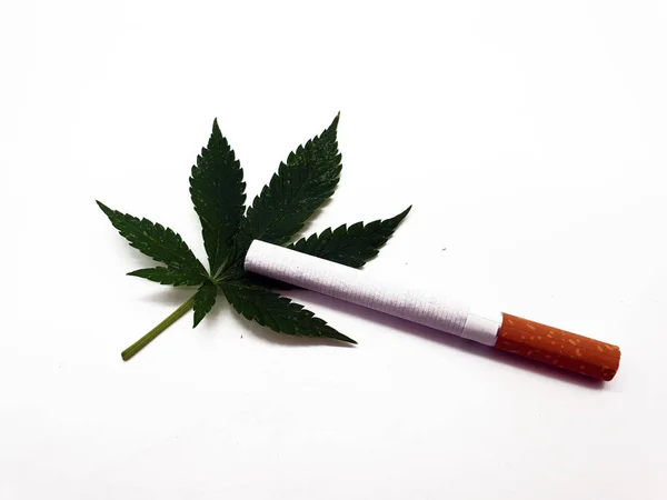 Cannabis Cigarrillo Cáñamo Liberado Sobre Fondo Suave —  Fotos de Stock