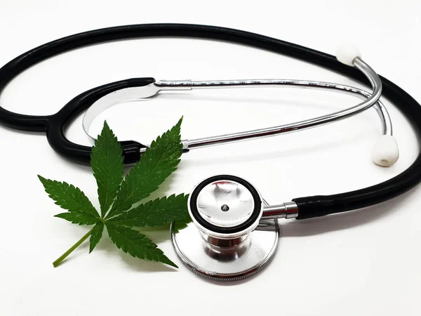 Cannabis Hanf Und Stethoskop Auf Weichem Untergrund Stockbild