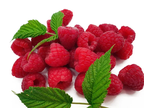 Beyaz arka plan üzerinde yayımlanan ahududu