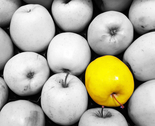 Yellow apple as a contrast to black white                 