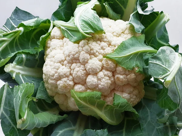 Coliflor Fresca Sobre Fondo Blanco — Foto de Stock