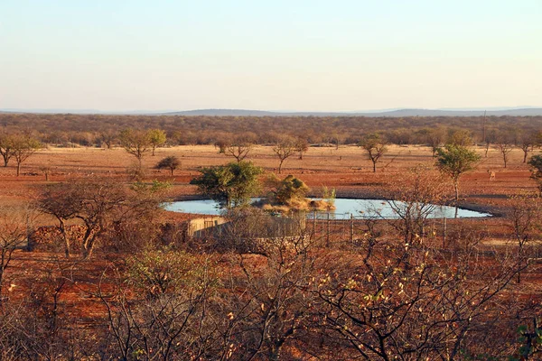 stock image Watering hole in the wilderness of Africa Namibia