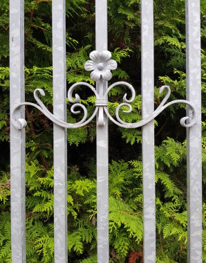 Büyük metal geçit driveway