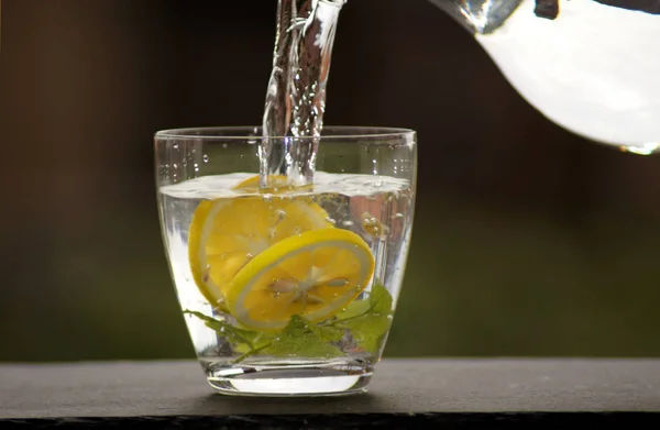 Fresh Water Lemon Mint — Stock Photo, Image