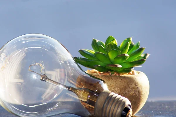 Close-up of a light bulb green current
