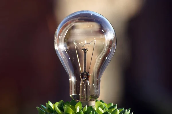 Close Light Bulb Green Current — Stock Photo, Image