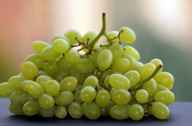 Asma taze üzüm Close-up                 