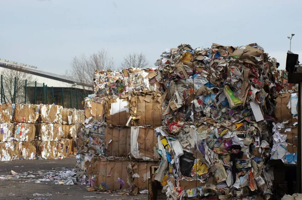 Recycling Yard Waste Recycling Plant Operation — Stock Photo, Image