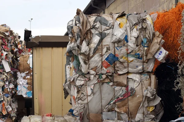 Recycling Yard Waste Recycling Plant Operation — Stock Photo, Image