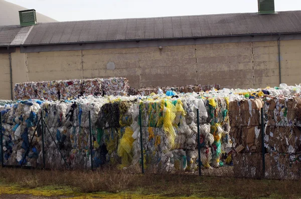 Recycling Yard Waste Recycling Plant Operation — Stock Photo, Image