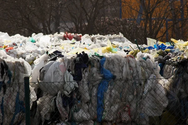 폐기물 재활용 재활용 — 스톡 사진