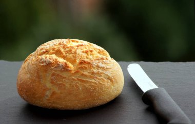 Kayrak plaka üzerinde gevrek gül topuzun               