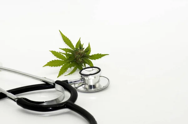 Konopie Marihuana Marihuana Medycynie — Zdjęcie stockowe