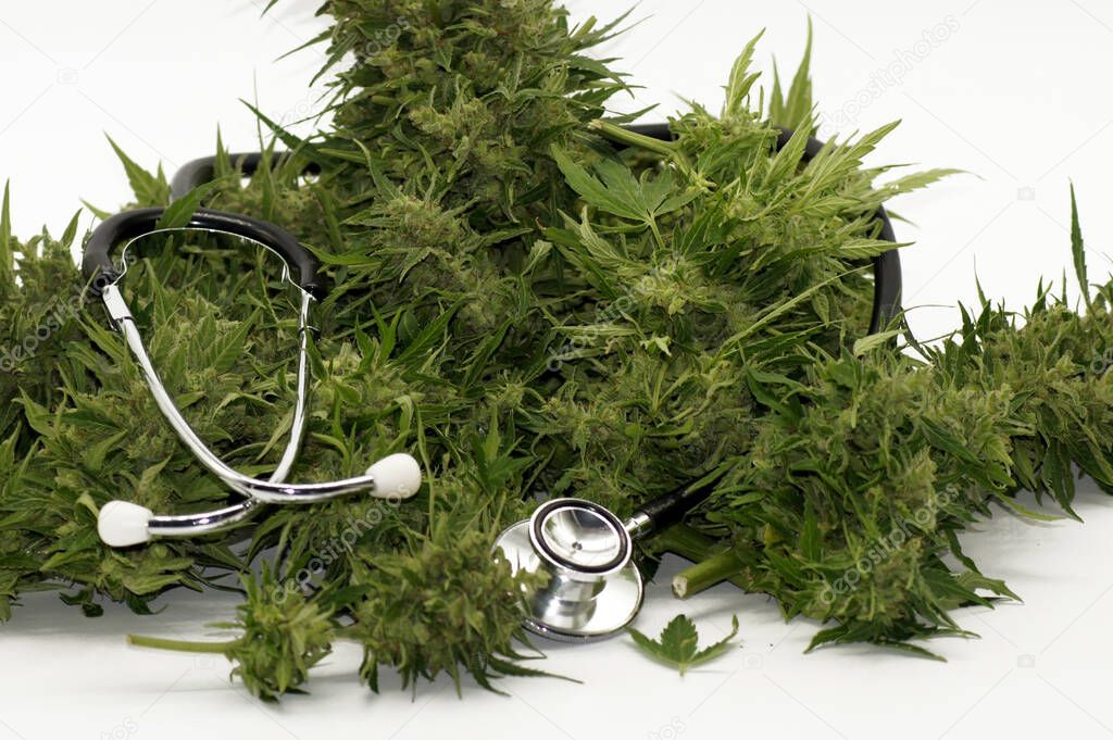 Cannabis hemp drug marijuana hashish exempted on white background                      