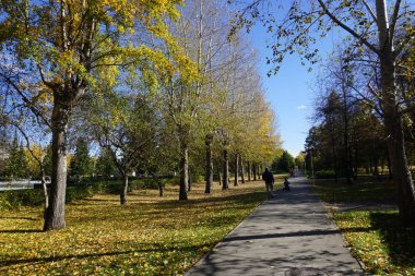 Lyudi gulyayut po osennemu parkupeople sonbahar parkta yürümek
