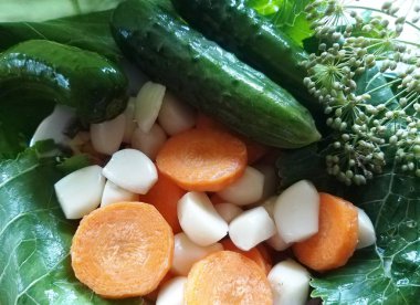 sarımsak, havuç, dereotu, kış için salatalık koruma