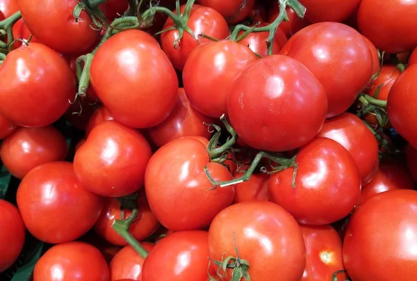 Tomates Rojos Maduros Con Ramas Verdes —  Fotos de Stock