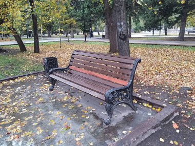 Boş park bankı yağmuru ve düşmüş sarı yapraklar