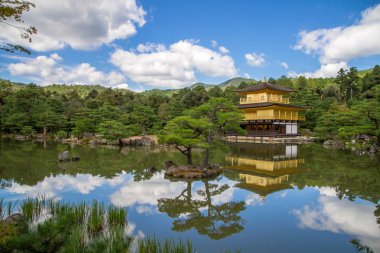 Un riflesso ti aiuta a a capire chi sei