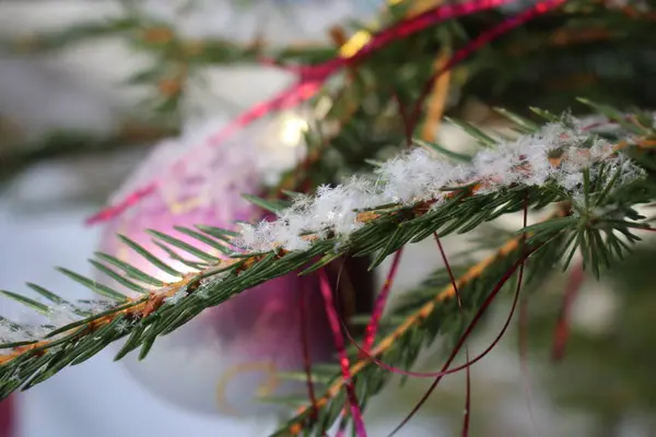 Weihnachtsbaumzweig Mit Kugeln Verziert Und Mit Schneeflocken Gepudert — Stockfoto