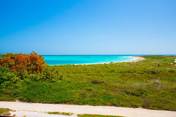 Στον Κόλπο Του Μεξικού Στο Dry Tortugas Εθνικό Πάρκο Φλόριντα — Φωτογραφία Αρχείου