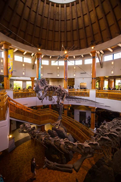 Orlando, Florida, ABD - 11 Mart 2017: Jurassic Park'taki dinozor iskeletleri Macera Adaları'nda işaret ediyor