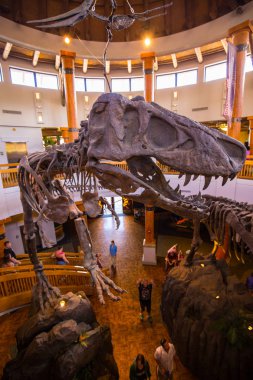 Orlando, Florida, ABD - 11 Mart 2017: Jurassic Park'taki dinozor iskeletleri Macera Adaları'nda işaret ediyor