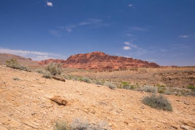 Kırmızı kayalar ve dağlar, Arches National Park, çöl vadi, Utah, ABD