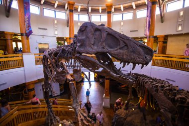Orlando, Florida, ABD - 11 Mart 2017: Jurassic Park'taki dinozor iskeletleri Macera Adaları'nda işaret ediyor