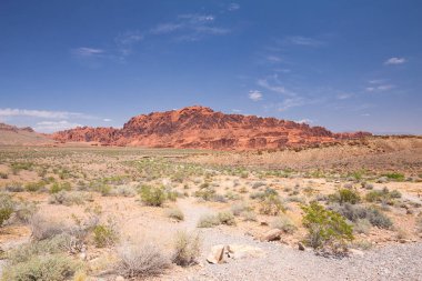 Kırmızı kayalar ve dağlar, Arches National Park, çöl vadi, Utah, ABD