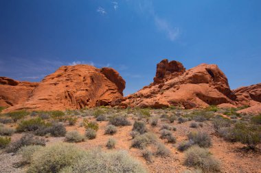 Kırmızı kayalar ve dağlar, Arches National Park, çöl vadi, Utah, ABD