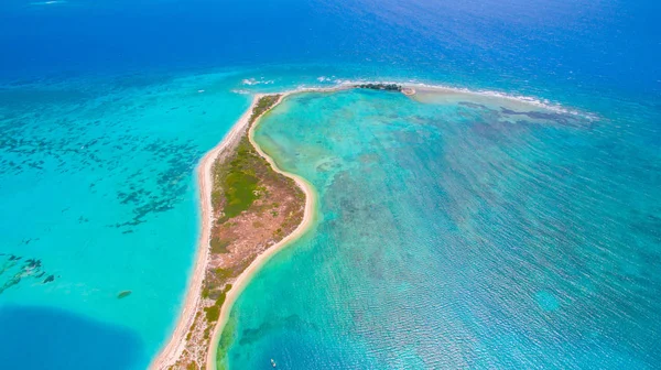 Vista Aérea Ilha Dry Tortugas National Park Flórida Eua — Fotografia de Stock