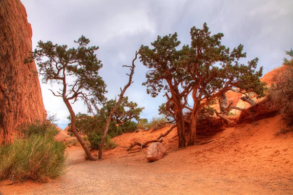 Rocas Rojas Montañas Parque Nacional Arches Valle Del Desierto Utah — Foto de Stock