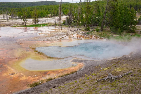 Beautiful Geyser Yellowstone National Park Wyoming Estados Unidos — Foto de Stock