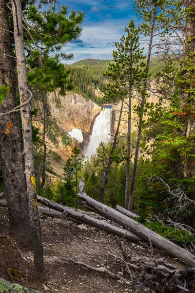 Cascada Parque Nacional Yellowstone Wyoming — Foto de Stock