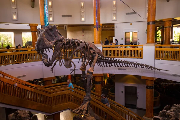 Orlando, Florida, ABD - 11 Mart 2017: Jurassic Park'taki dinozor iskeletleri Macera Adaları'nda işaret ediyor