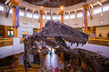 Orlando, Florida, ABD - 11 Mart 2017: Jurassic Park'taki dinozor iskeletleri Macera Adaları'nda işaret ediyor