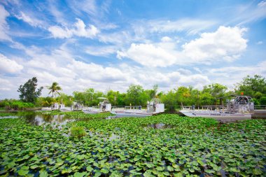 turistler, Everglades Ulusal Park, Florida, ABD 