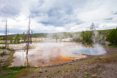 Yellowstone Milli Parkı, Wyoming, ABD güzel Şofben