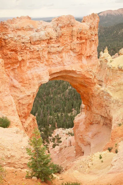 Bellissimo Paesaggio Della Red Rock Canyon National Conservation Area Nevada — Foto Stock